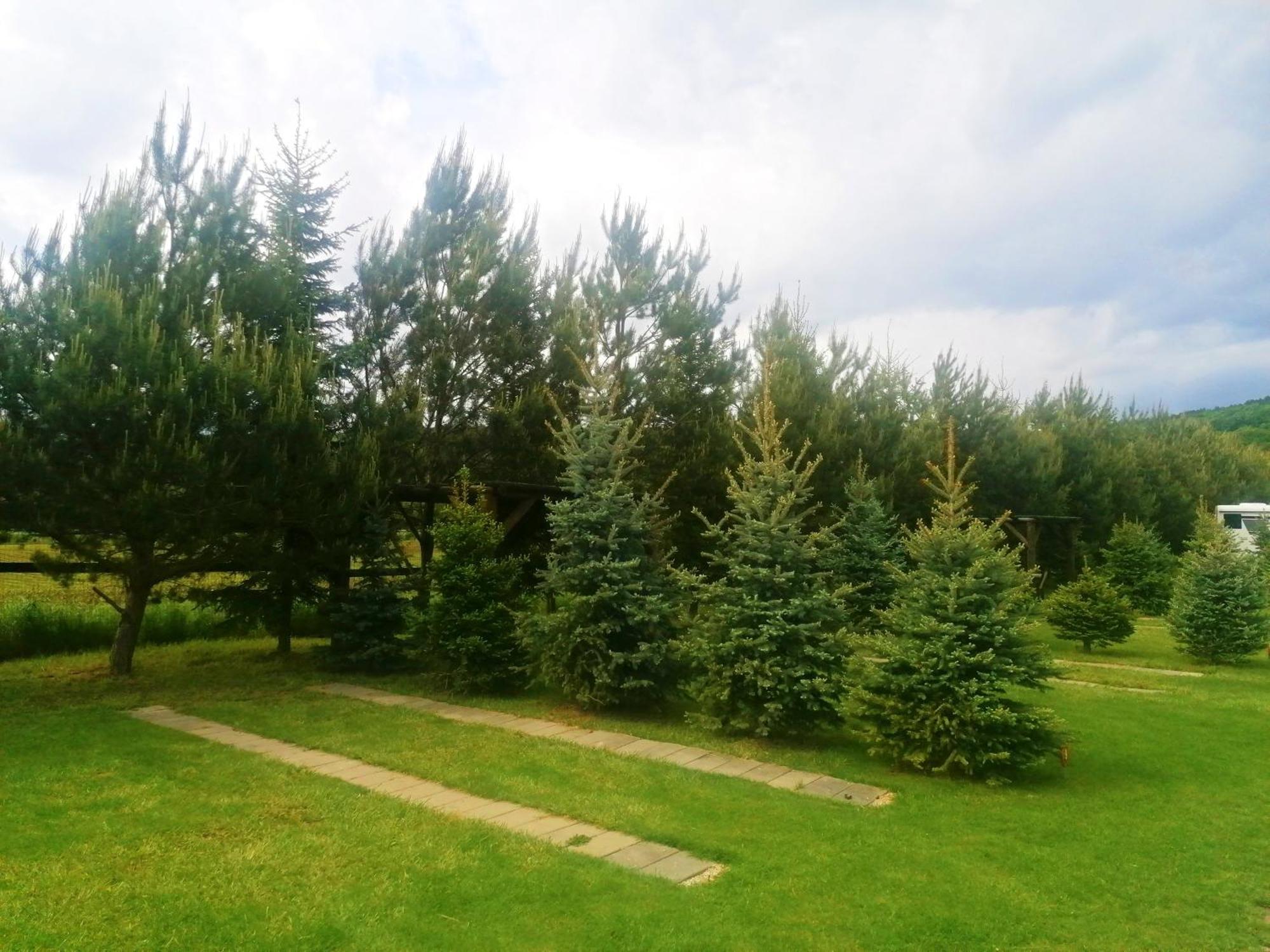 Готель Camp Pacho Пр'євідза Екстер'єр фото